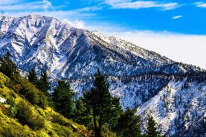 Photographed this Snowy peak mountain and green trees on my side from Mountain High in San Gabriel Mountains