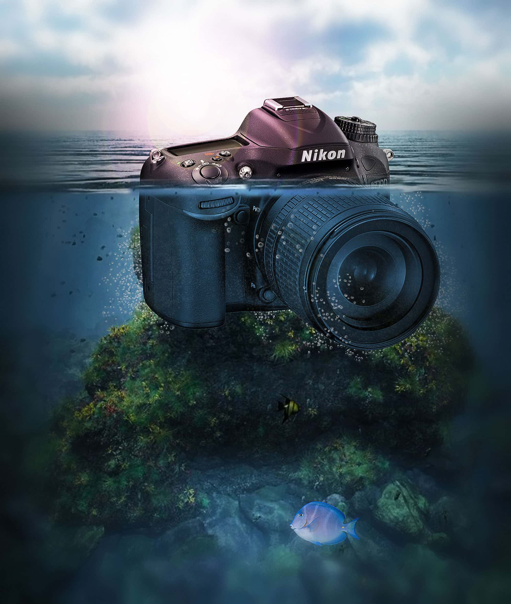 Camera At Sea