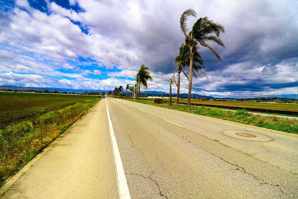 Photographed Del Norte Road with Clouds and Palm Trees in Oxnard, CA