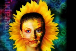 Sunflower Model Digital Art