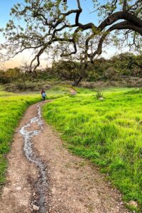 Photographed this trail at Triunfo Park in Westlake Village